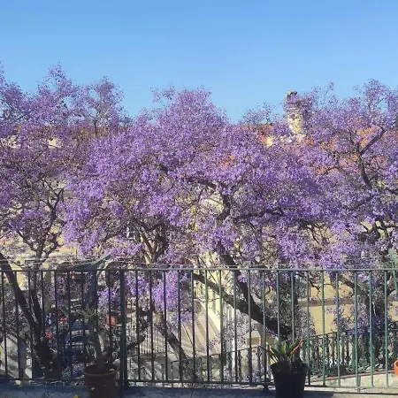 公寓 Hugo's Panoramic Duplex